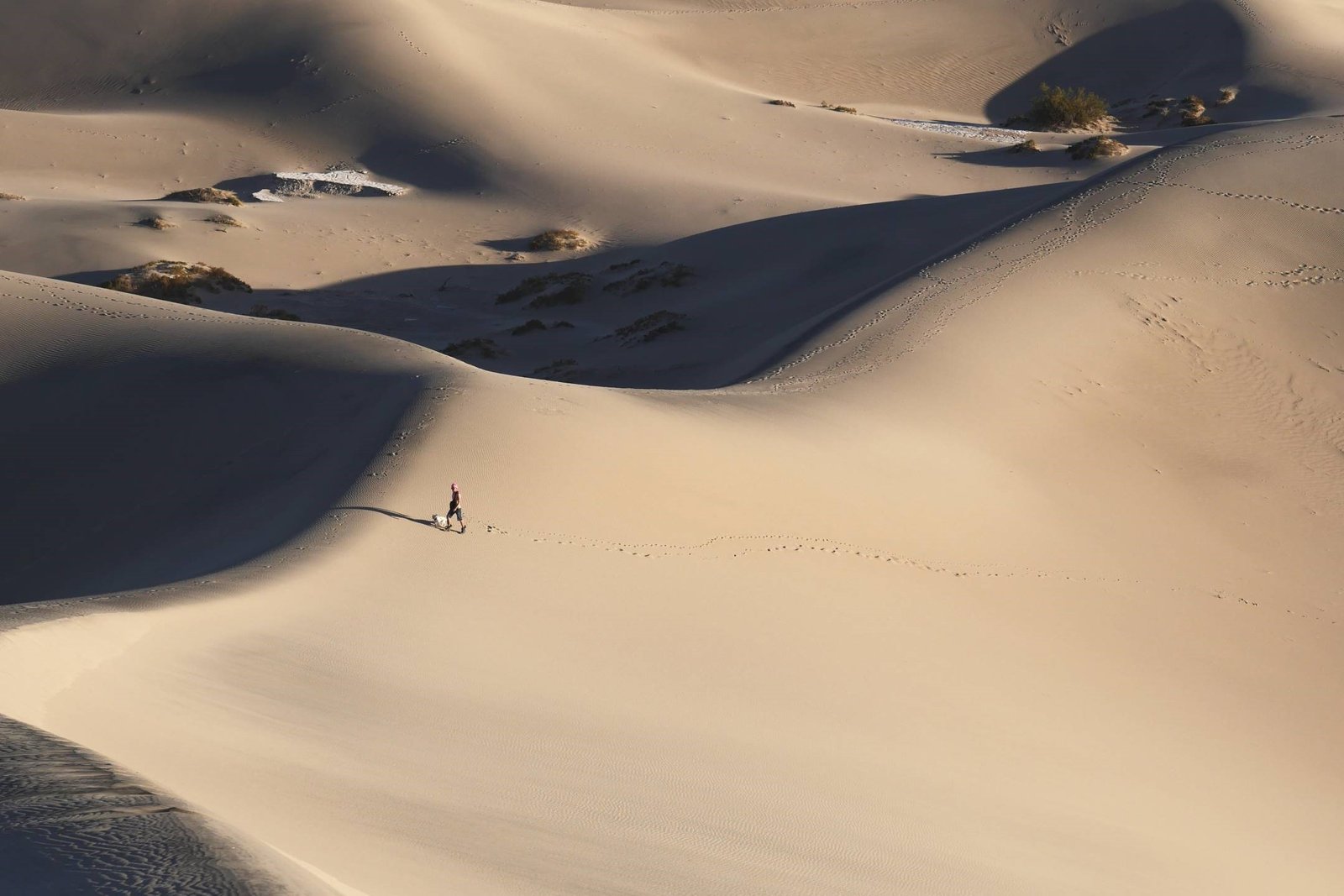 Complete Financial Analyst Course